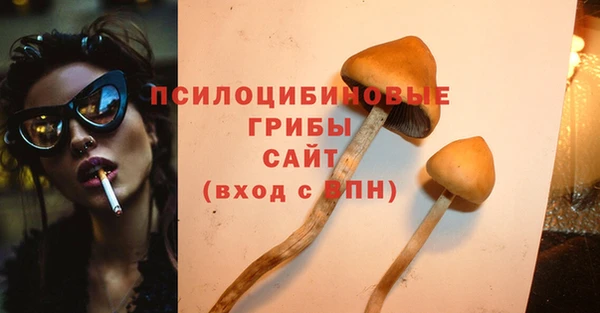 прущая мука Лабытнанги