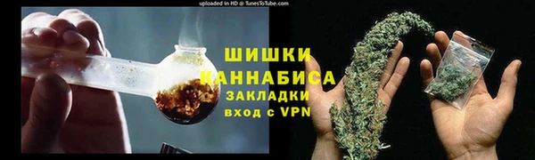 дурь Каменка