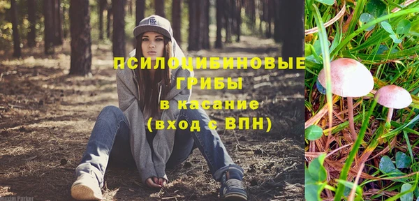 apvp Лагань