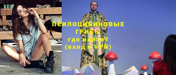 apvp Лагань