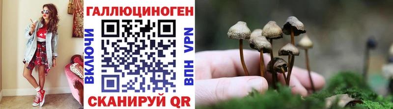 Псилоцибиновые грибы MAGIC MUSHROOMS  Липки 